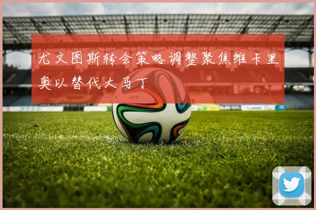 尤文图斯转会策略调整聚焦维卡里奥以替代大马丁